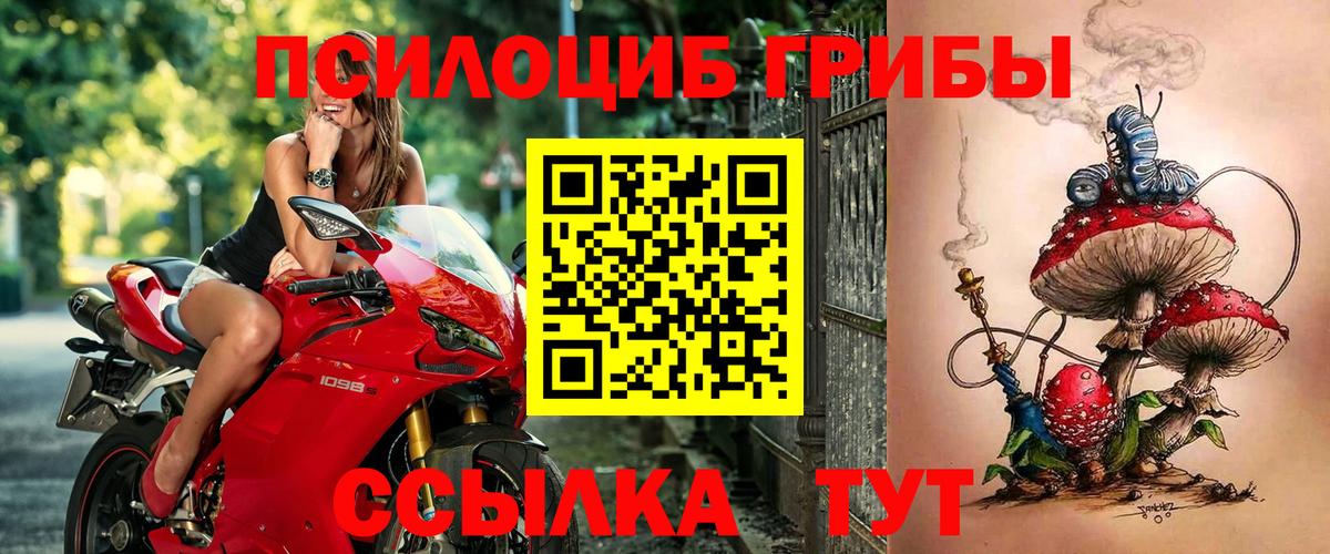 Осинники  Псилоцибиновые грибы ЛСД  Вход с VPN  Псилоцибиновые грибы Psilocybe 