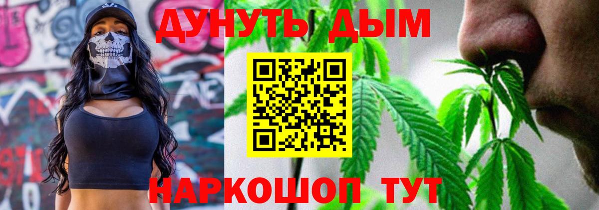 Канабис сатива  Шишки марихуана планчик  Каннабис ГИДРОПОН  Осинники  Вход с VPN 